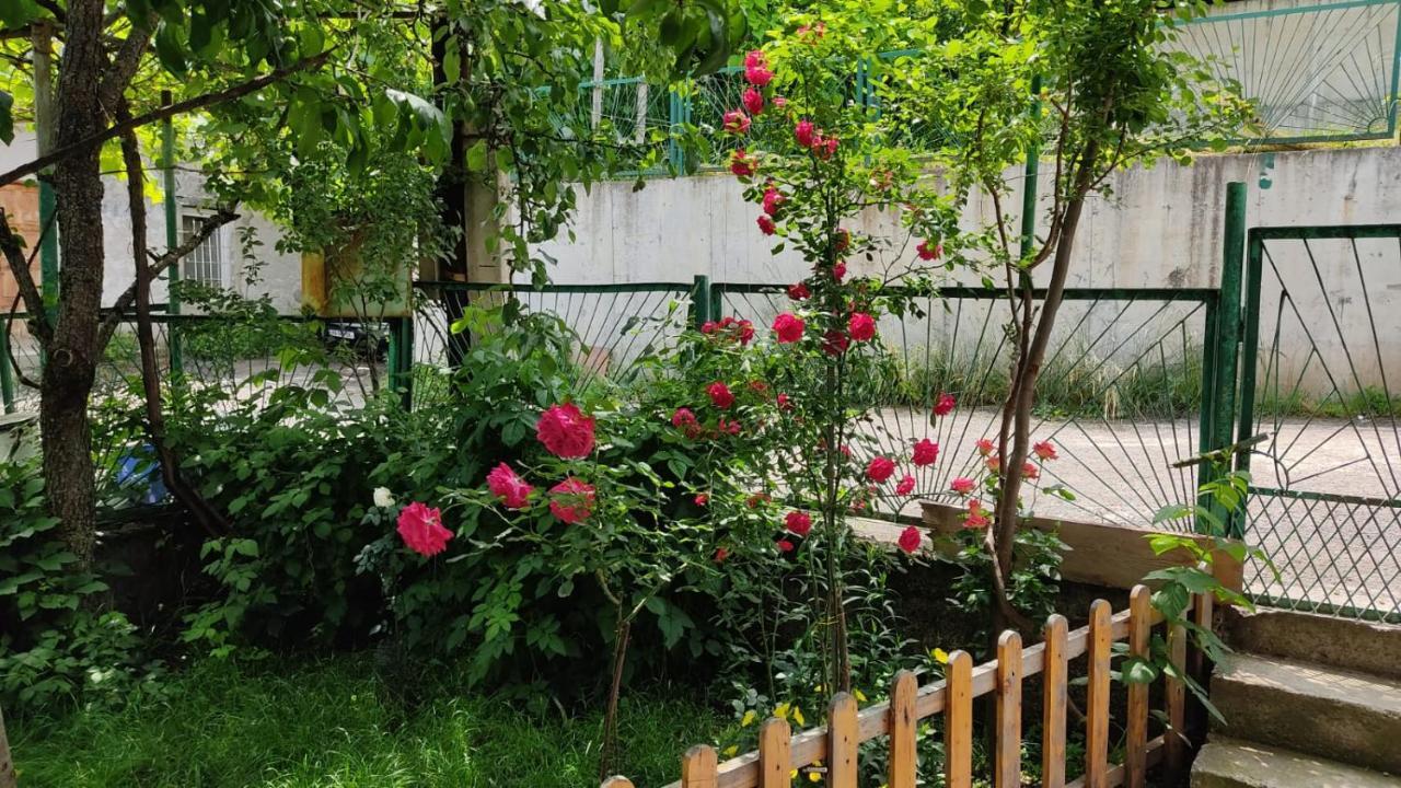 Hotel Borjomi Nest Exterior foto